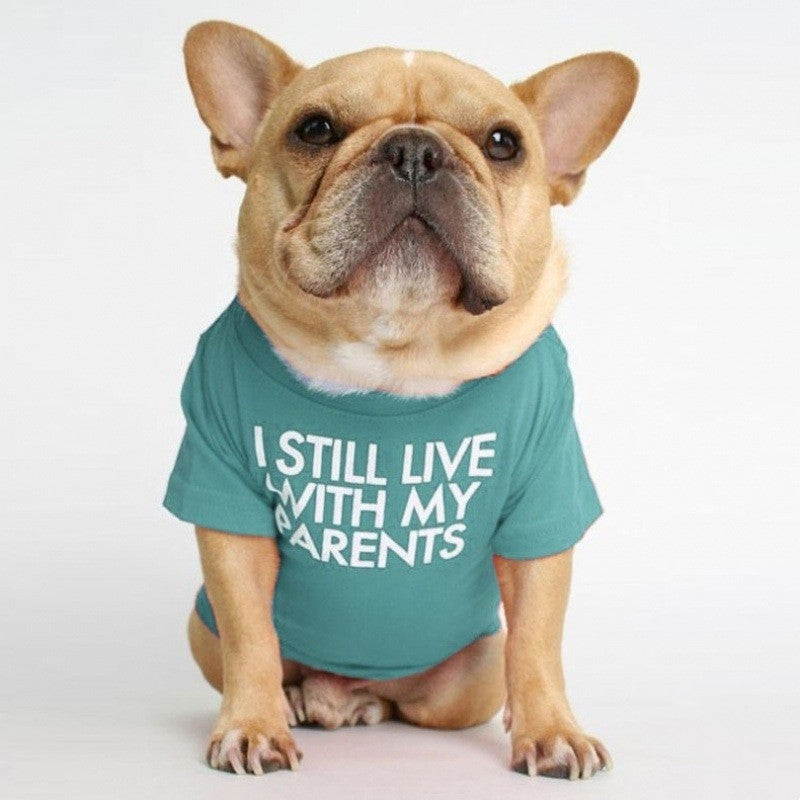 T-shirt « Je vis encore chez mes parents »