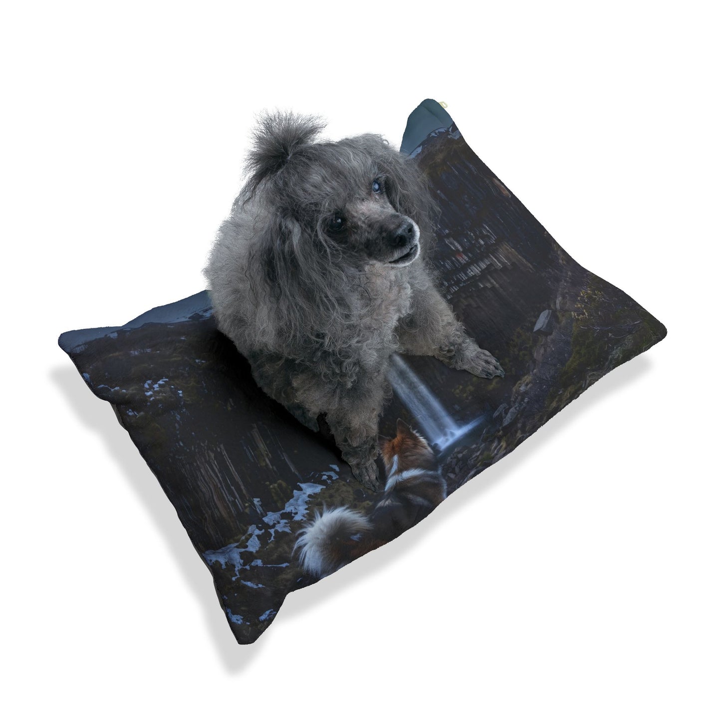 Icelandic Sheepdog Pet Bed