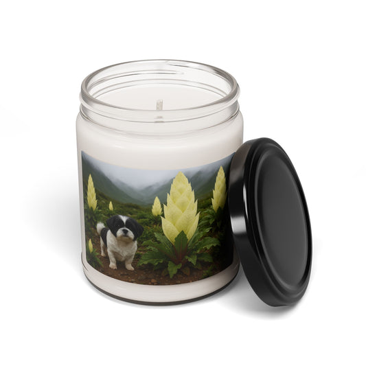 Shihmalt- Scented Soy Candle, 9oz