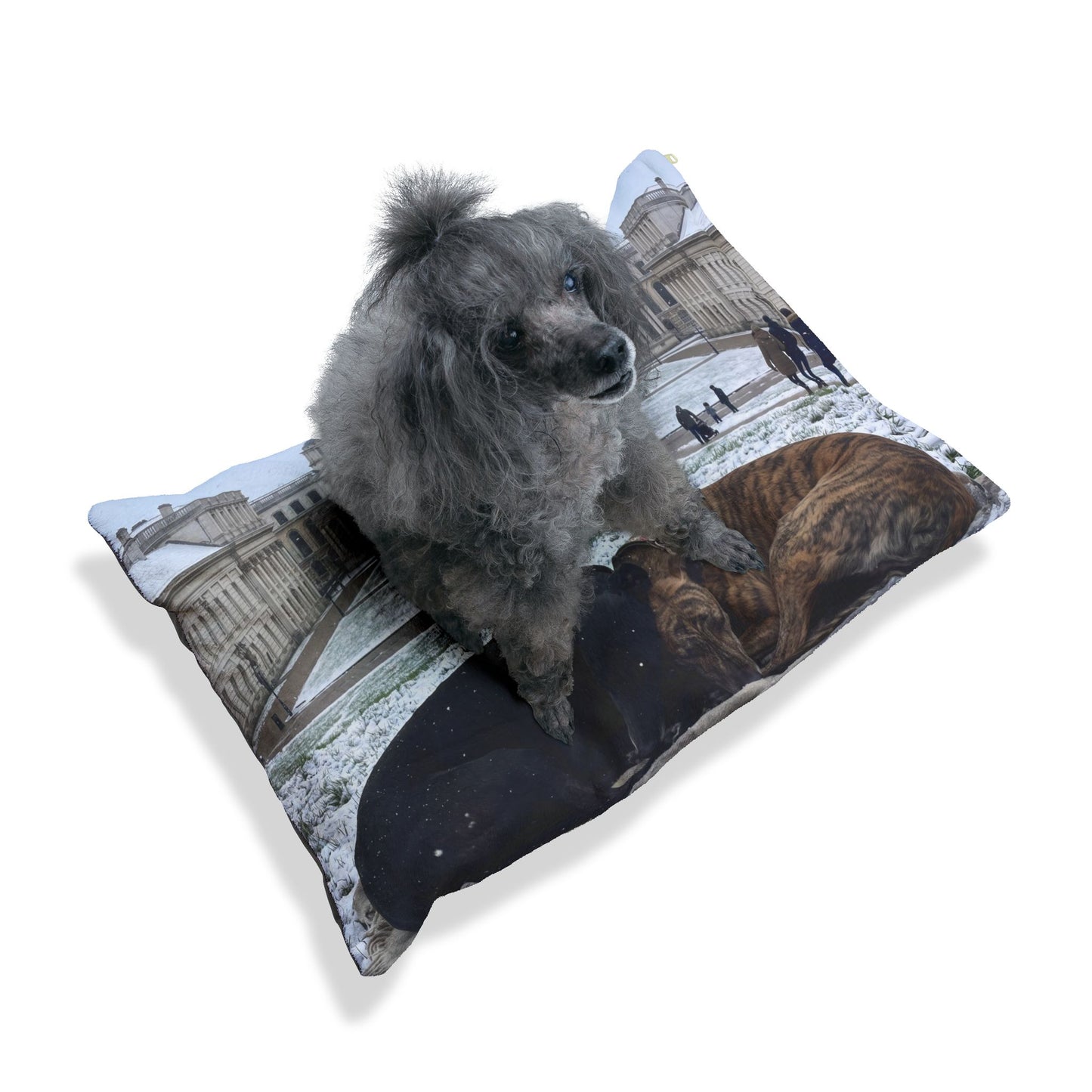 Greyhound Pet Bed