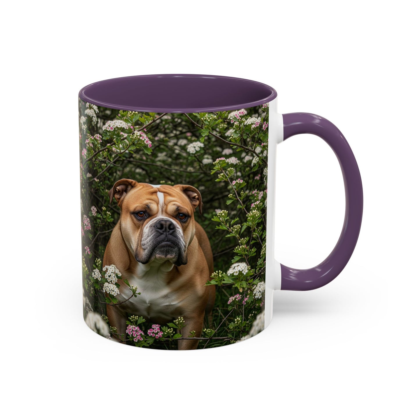 Mug à café Olde English Bulldogge Accent - Cadeau idéal pour les amoureux des chiens