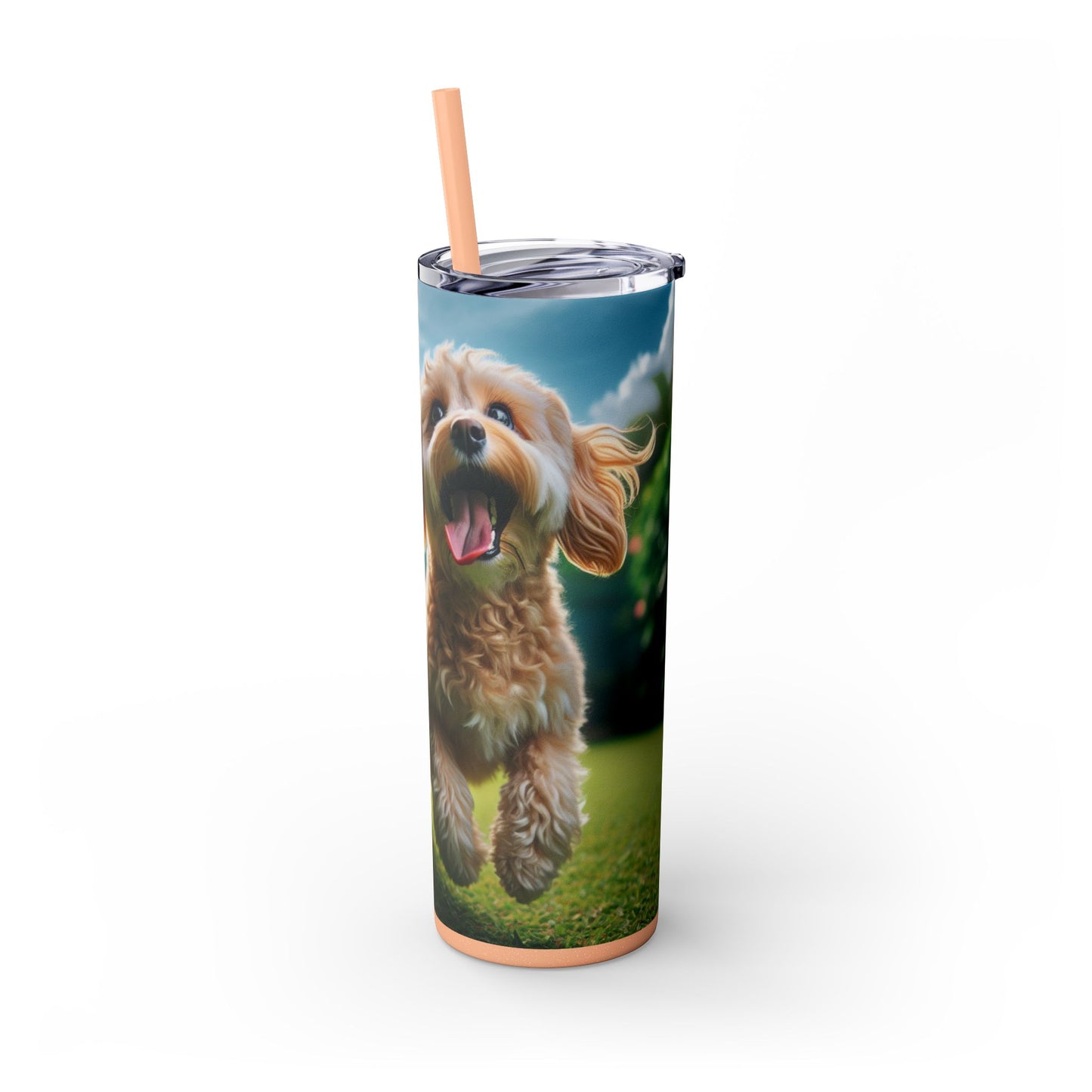 Skinny Tumbler with Straw – 20 oz Stainless Steel Cup