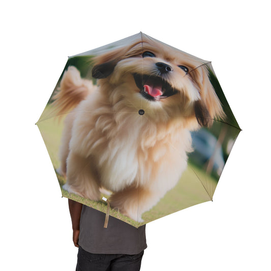 Pekapoo Semi-Automatic Foldable Umbrella