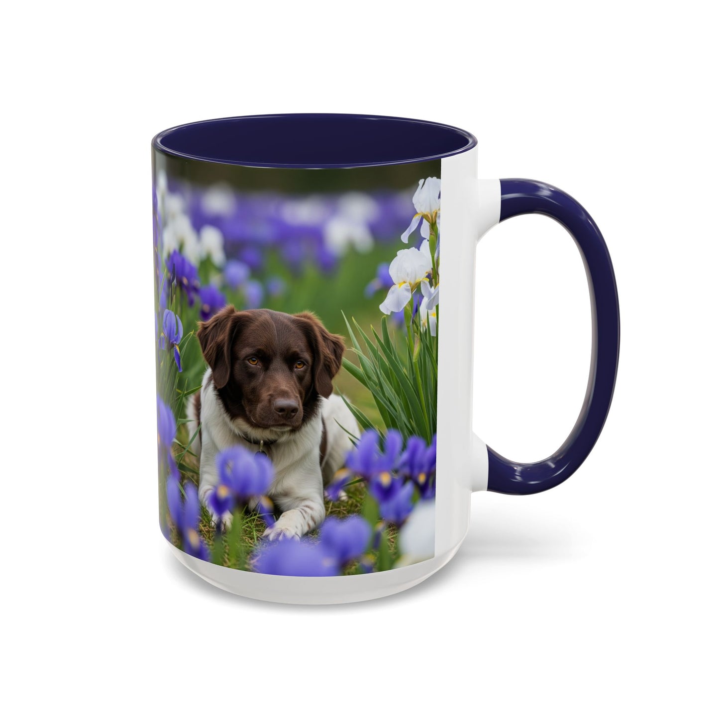 Mug Stabyhouns Accent - Cadeau idéal pour les amoureux des chiens