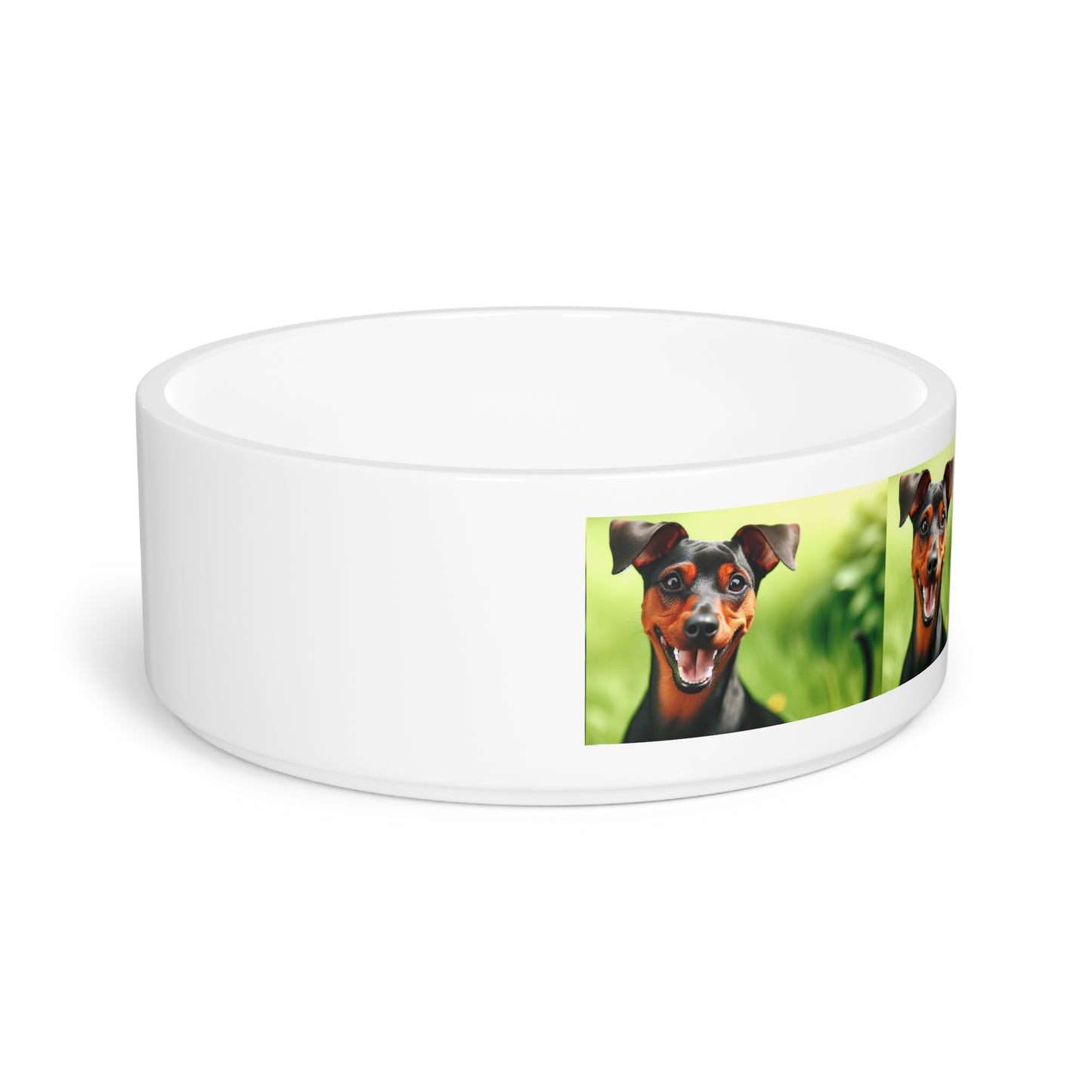 German Pinscher Pet Bowl