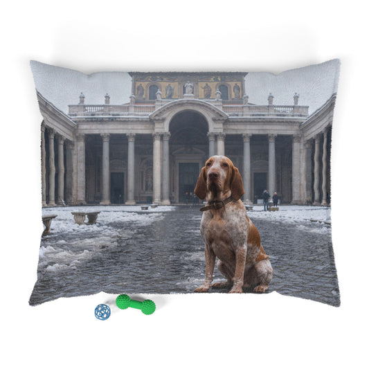 Bracco Italiano Pet Bed