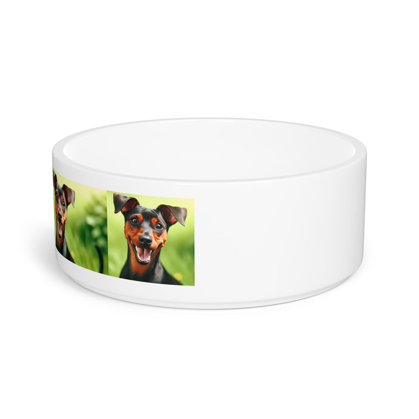 German Pinscher Pet Bowl