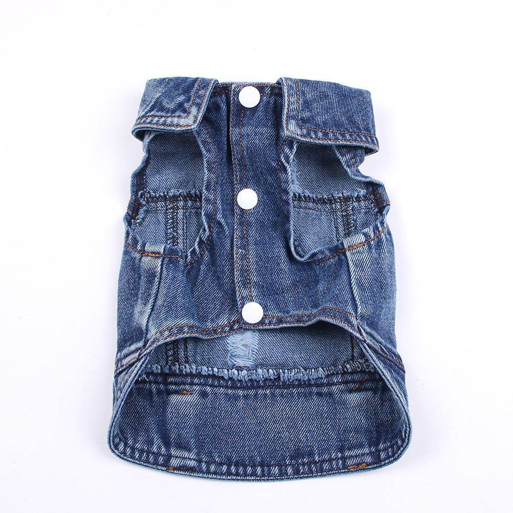 Chaqueta vaquera azul para perro y gato, abrigo y chaleco 