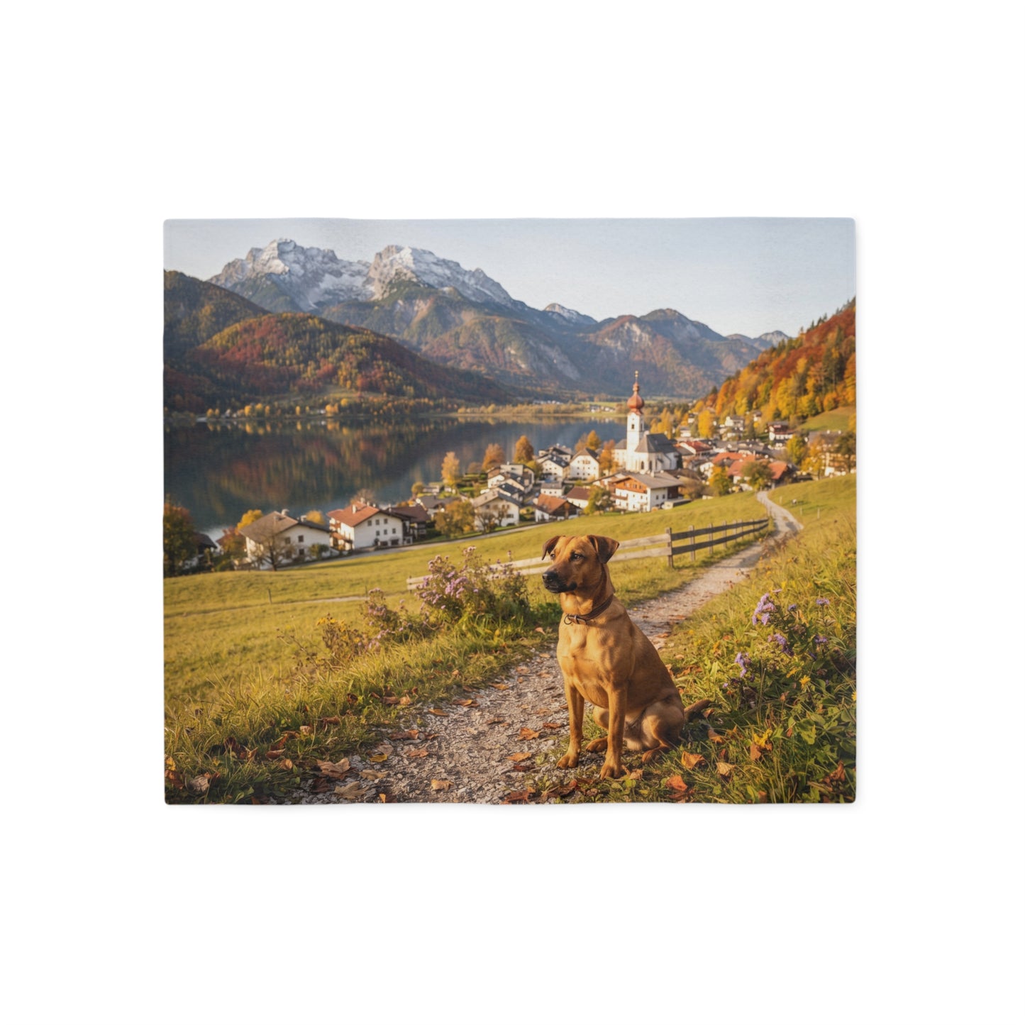 Austrian Pinscher Blanket