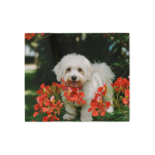 Coton de Tulear Sweatshirt Blanket