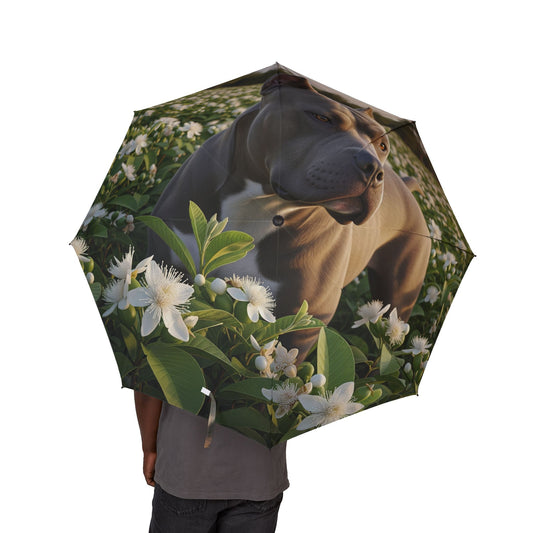 Bully Kutta Semi-Automatic Foldable Umbrella