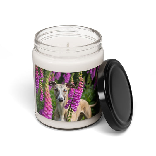 Whippet- Scented Soy Candle, 9oz