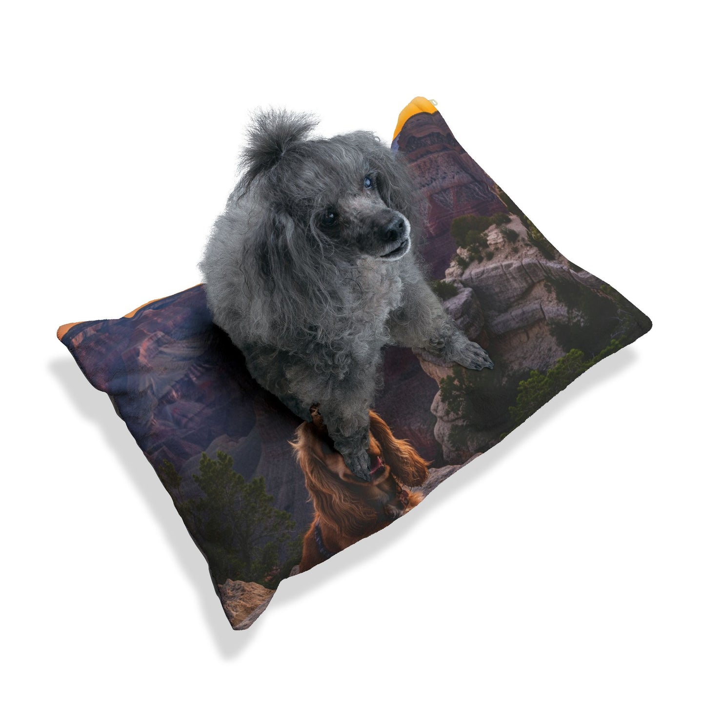 American Cocker Spaniel Pet Bed