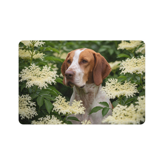 Pet Food Mat (12x18) - Braque St. Germain