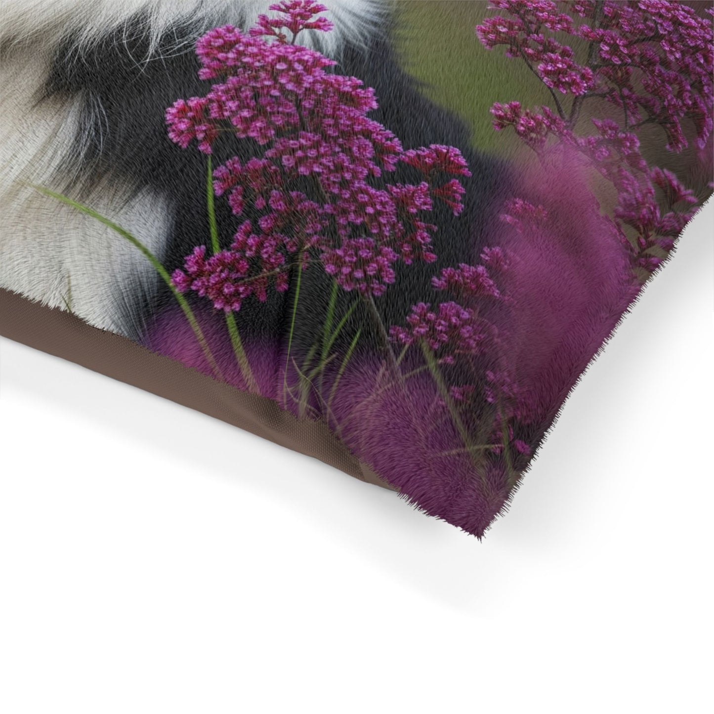 Border Collie Pet Bed