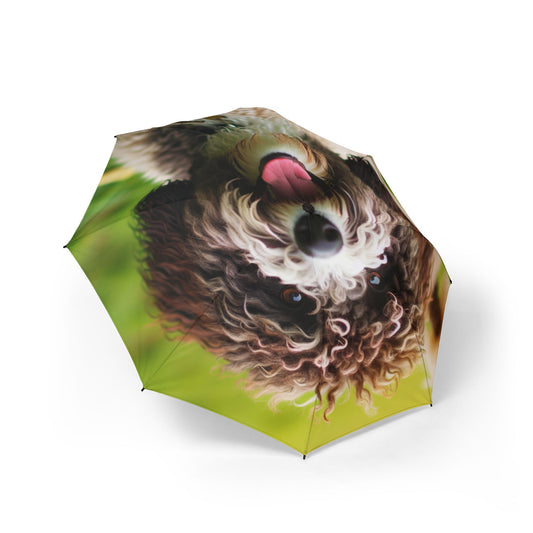 Spanish Water Dog Semi-Automatic Foldable Umbrella