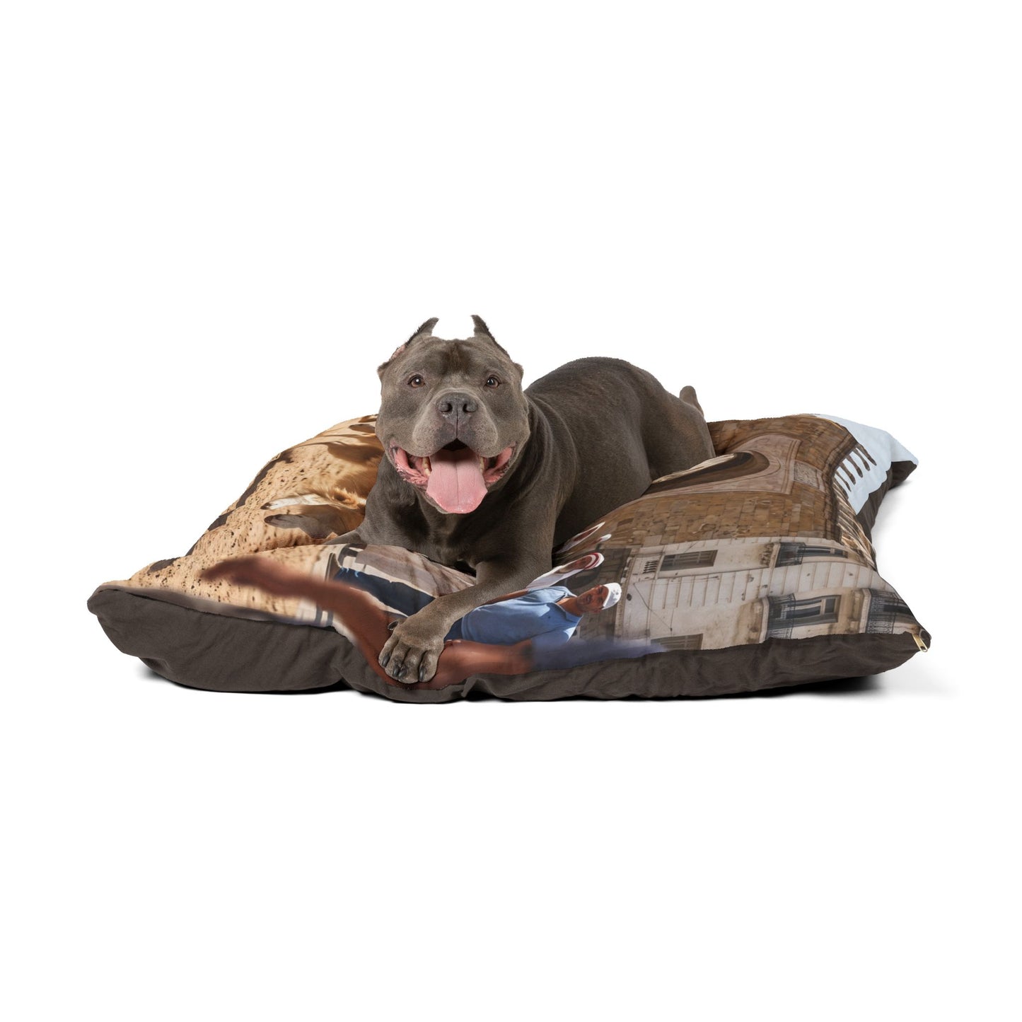 Sloughi and Aidi Pet Bed
