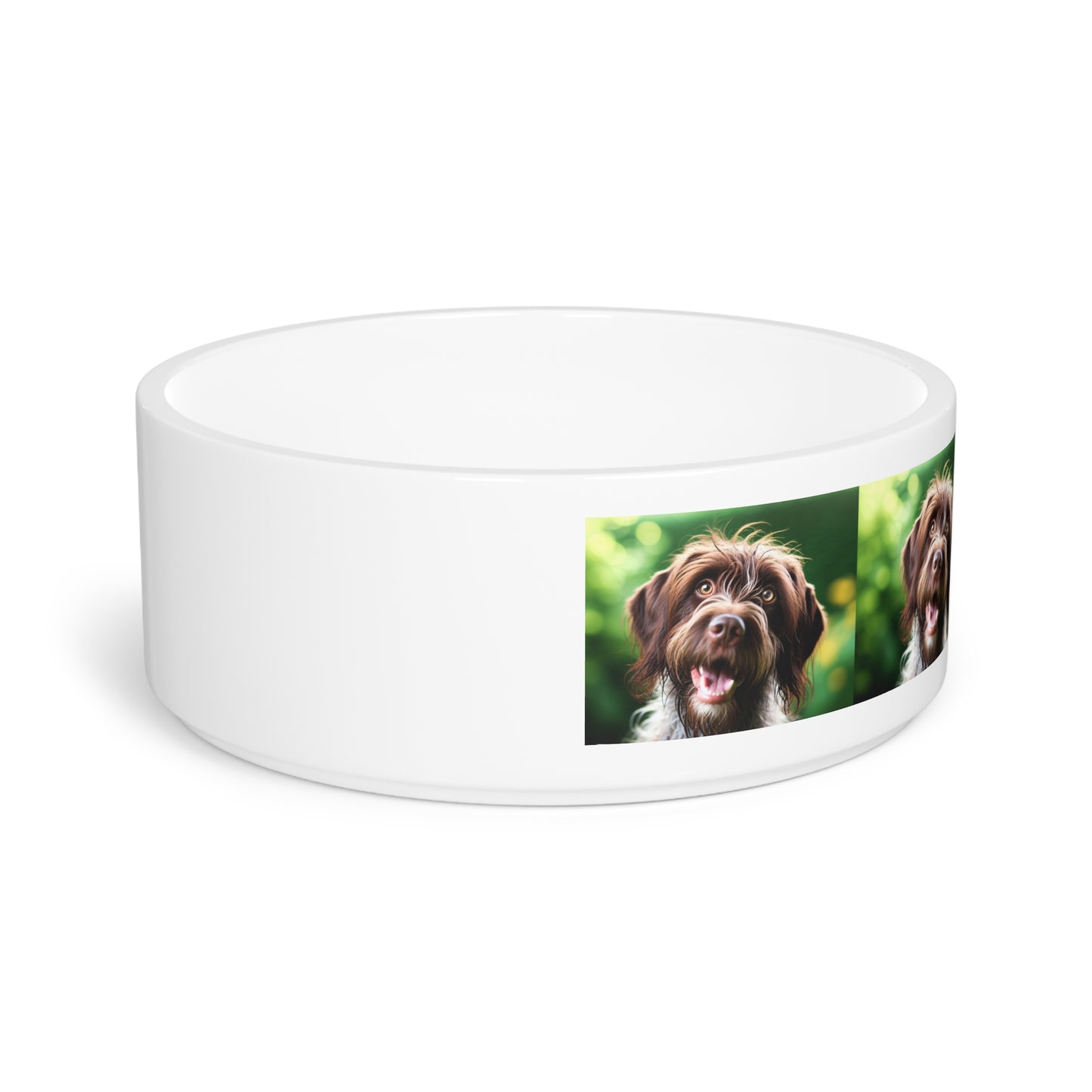 German Wirehaired Pointer Pet Bowl