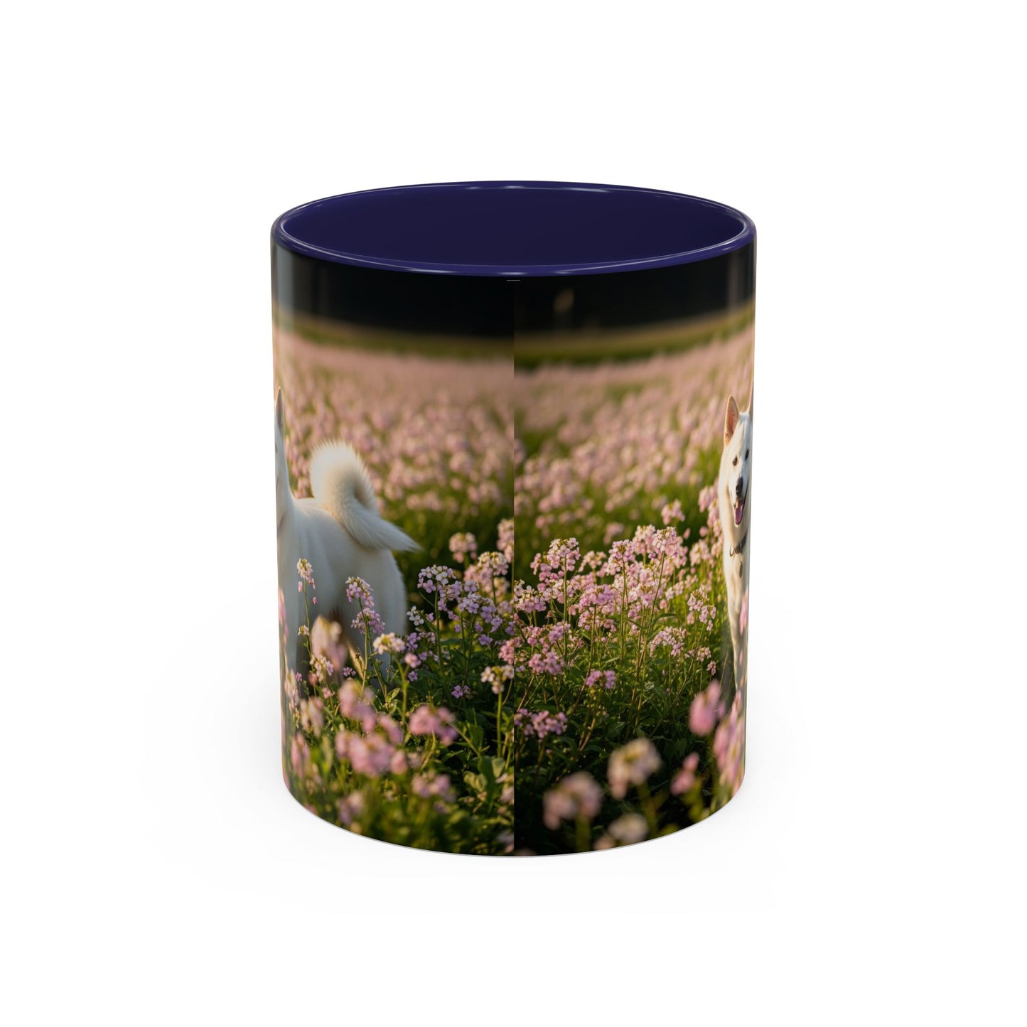 Mug Kishu Ken Accent Coffee - Cadeau idéal pour les amoureux des chiens