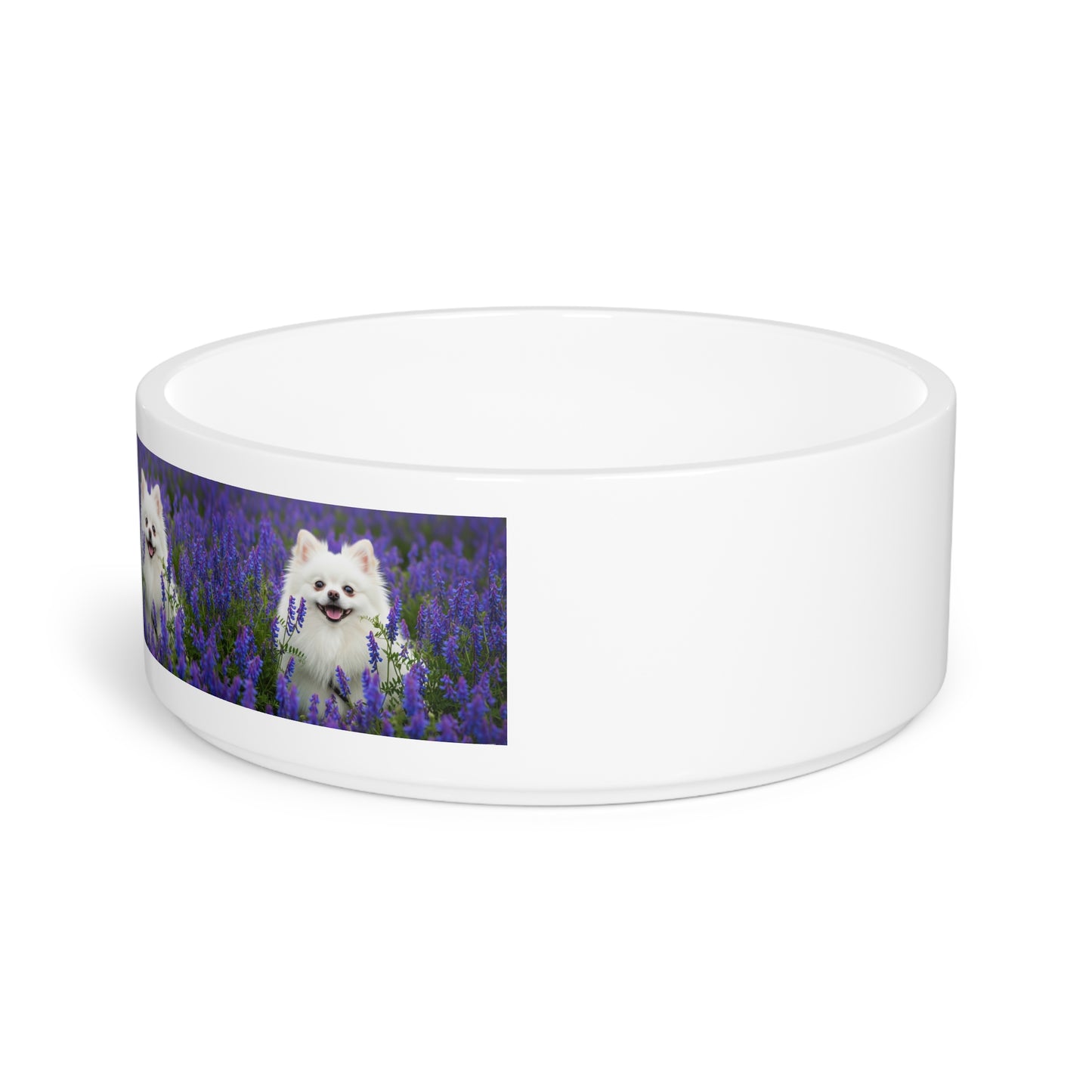 Pomeranian Pet Bowl