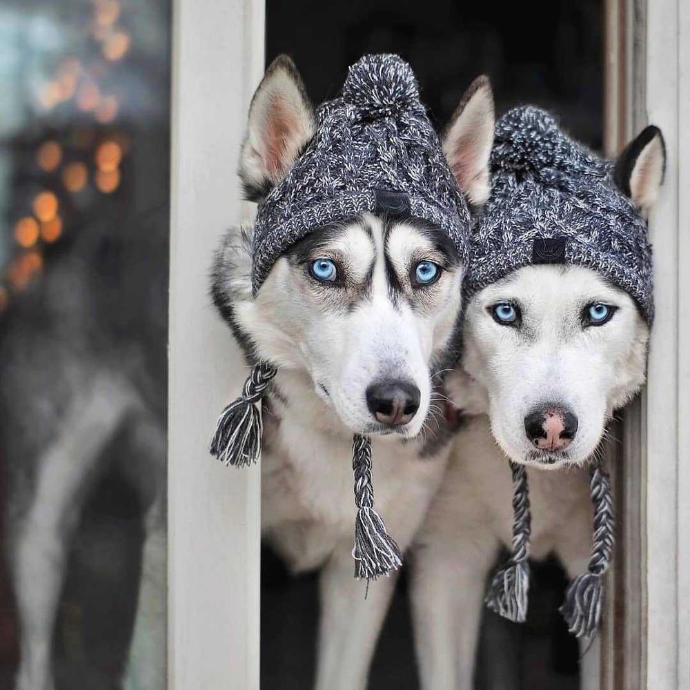 Gorros de punto cálidos para mascotas con bola esponjosa para otoño e invierno 