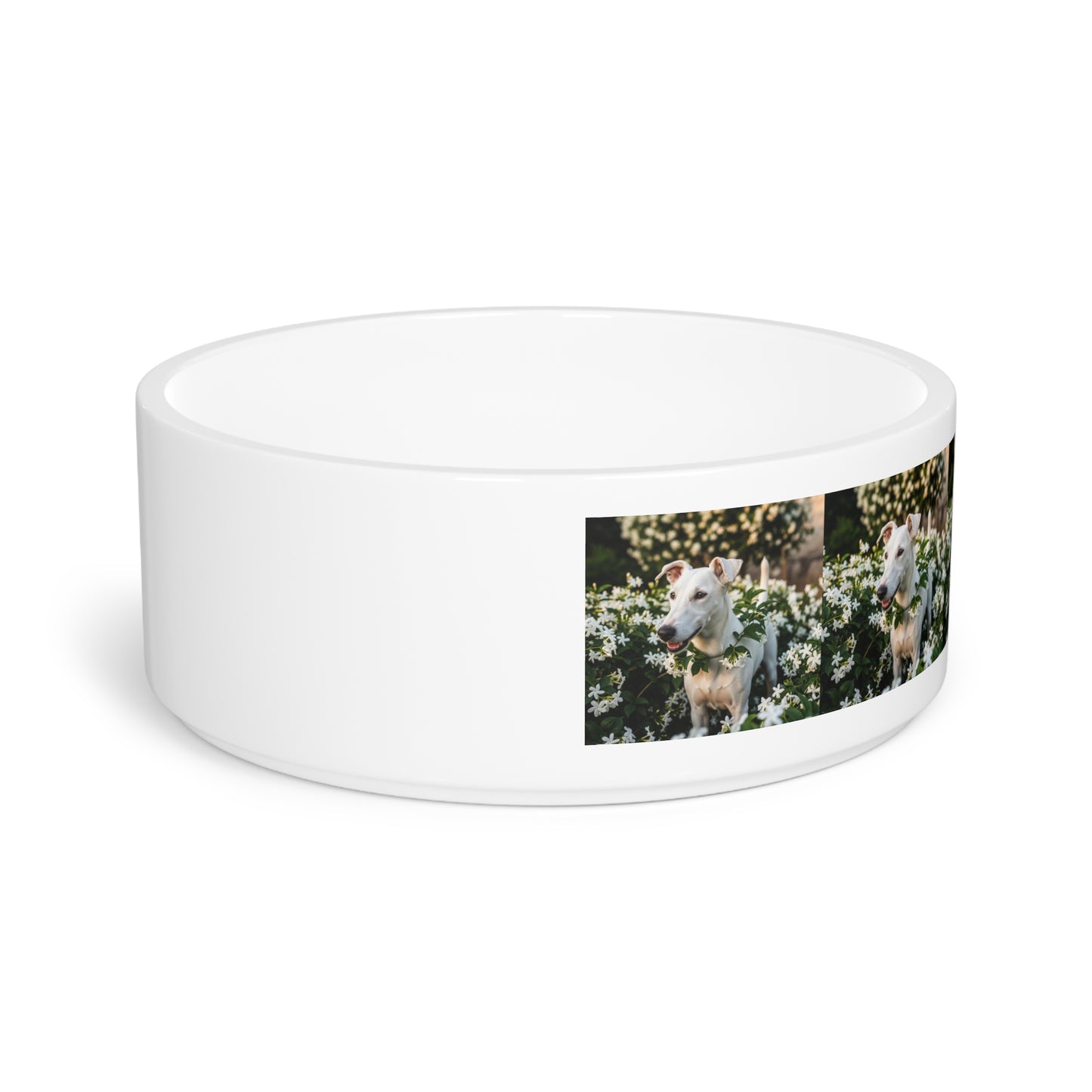 Gull Terrier Pet Bowl