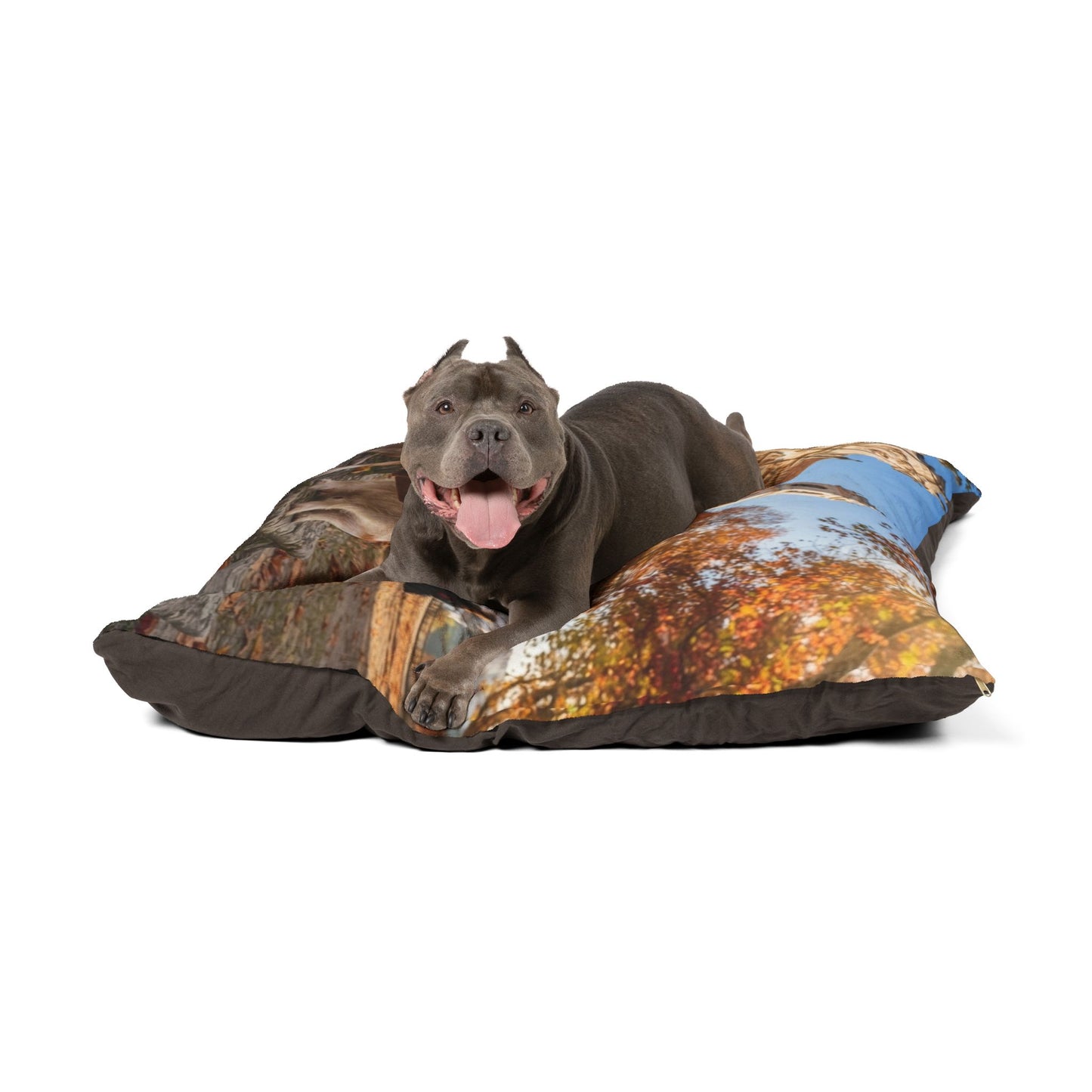Portuguese Podengo Pet Bed