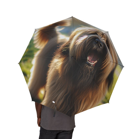Briard Semi-Automatic Foldable Umbrella