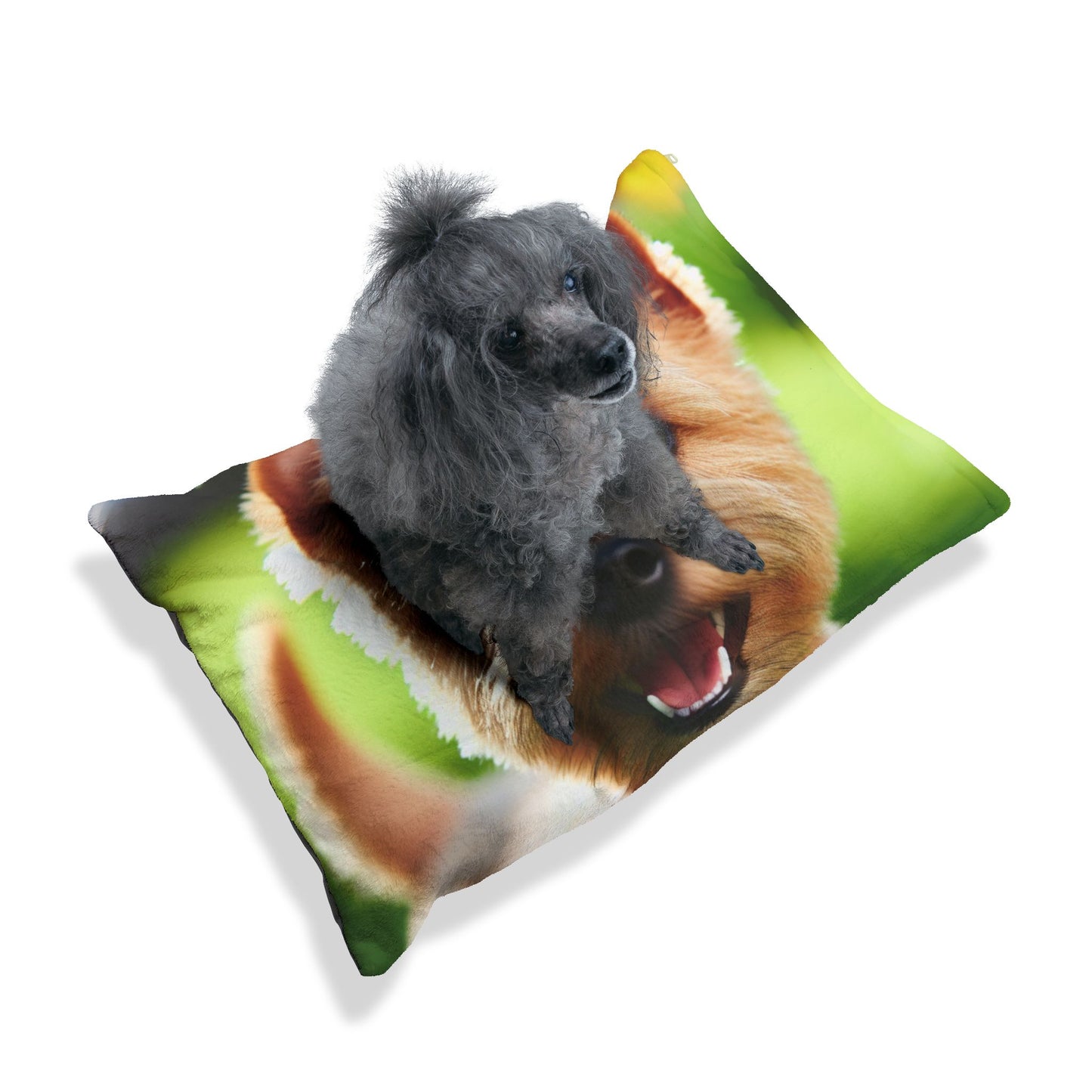Norwich Terrier Pet Bed