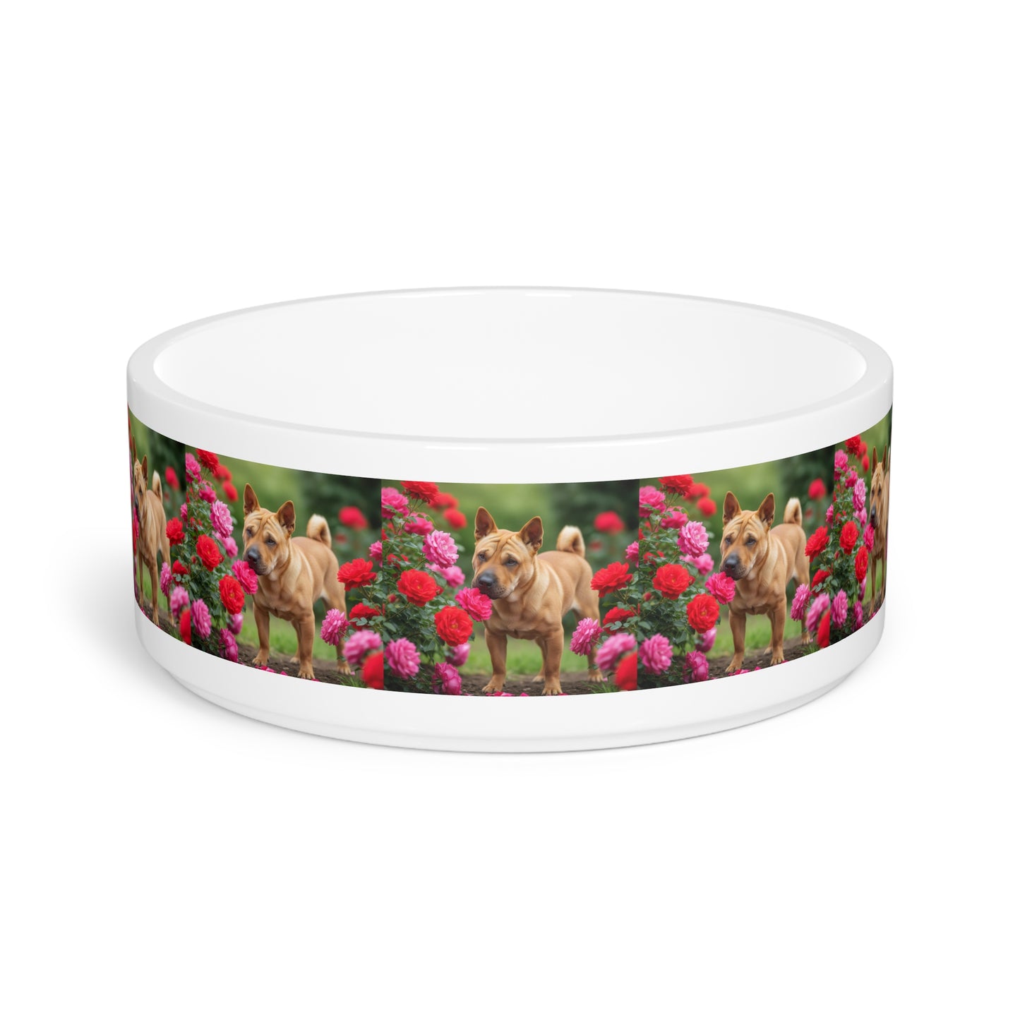 Ori Pei Pet Bowl