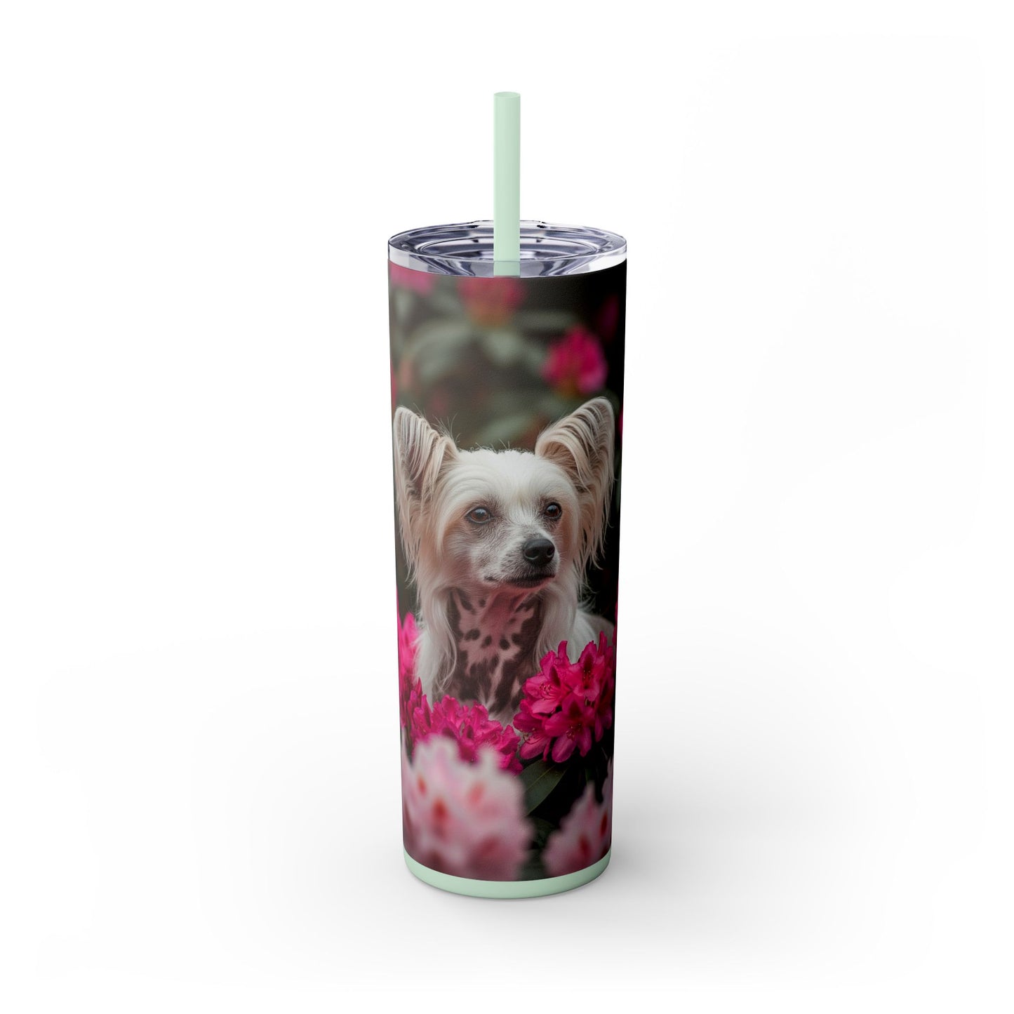 Skinny Tumbler with Straw – 20 oz Stainless Steel Cup