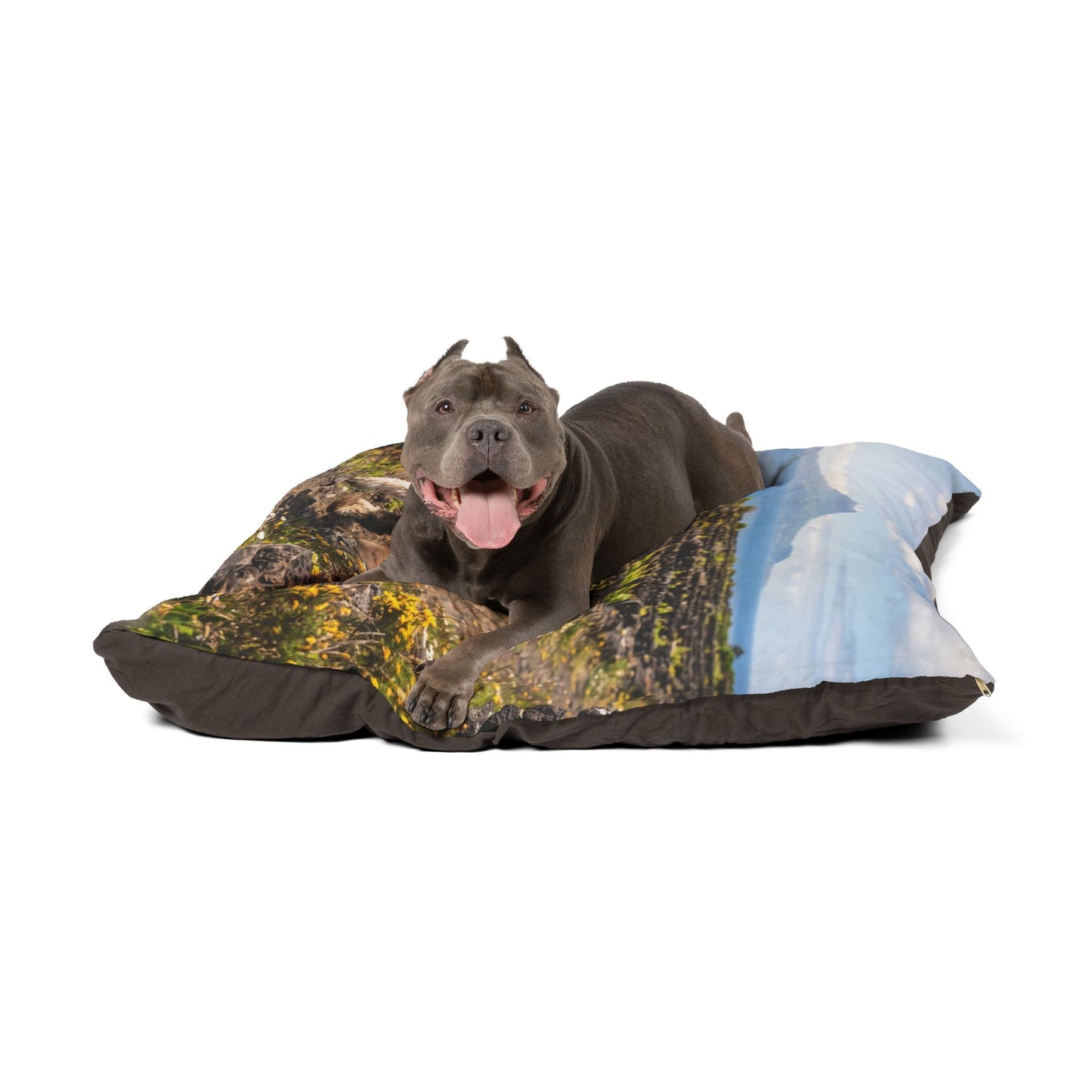Portuguese Water Dog Pet Bed