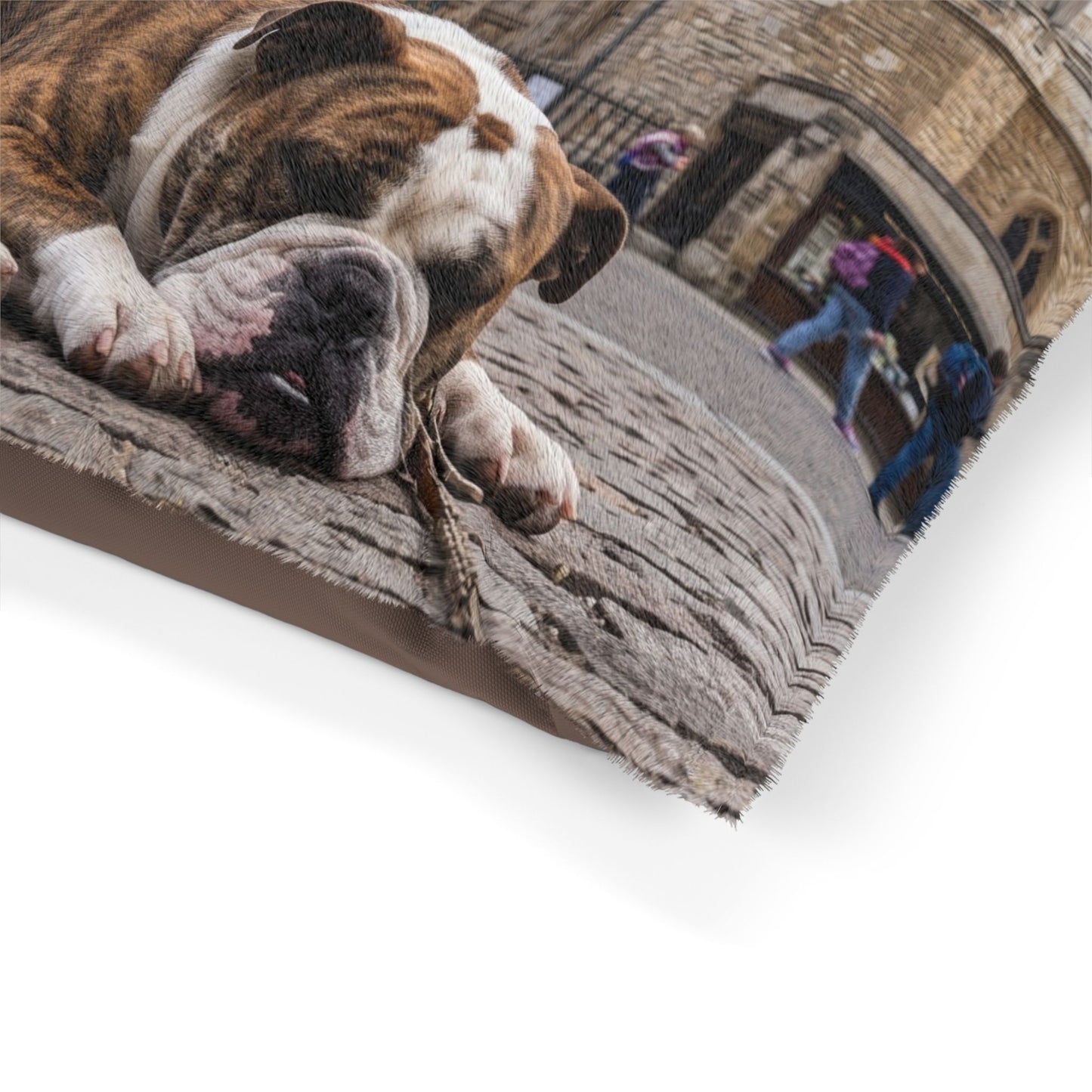 Old English Bulldog Pet Bed