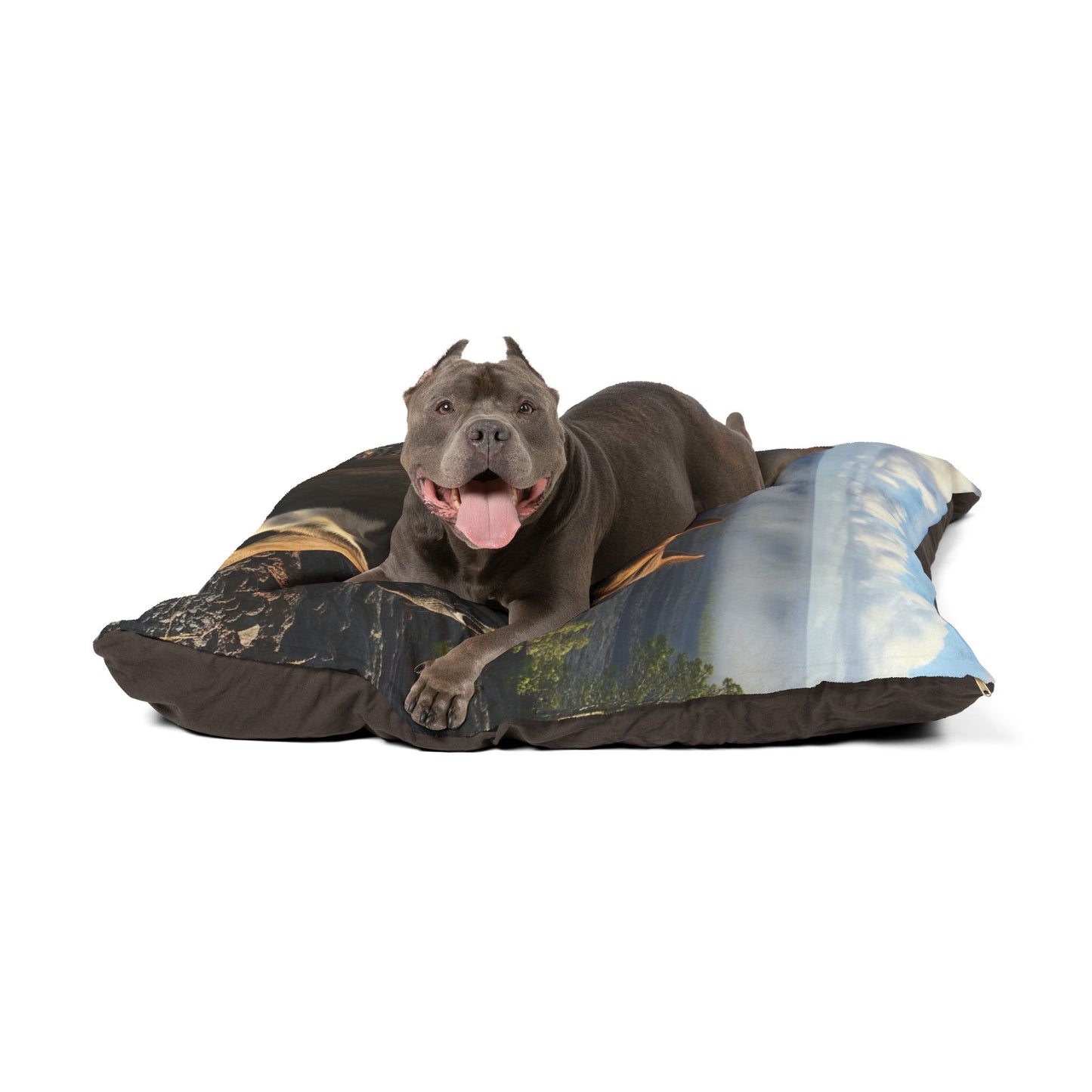 Pit Bull Pet Bed