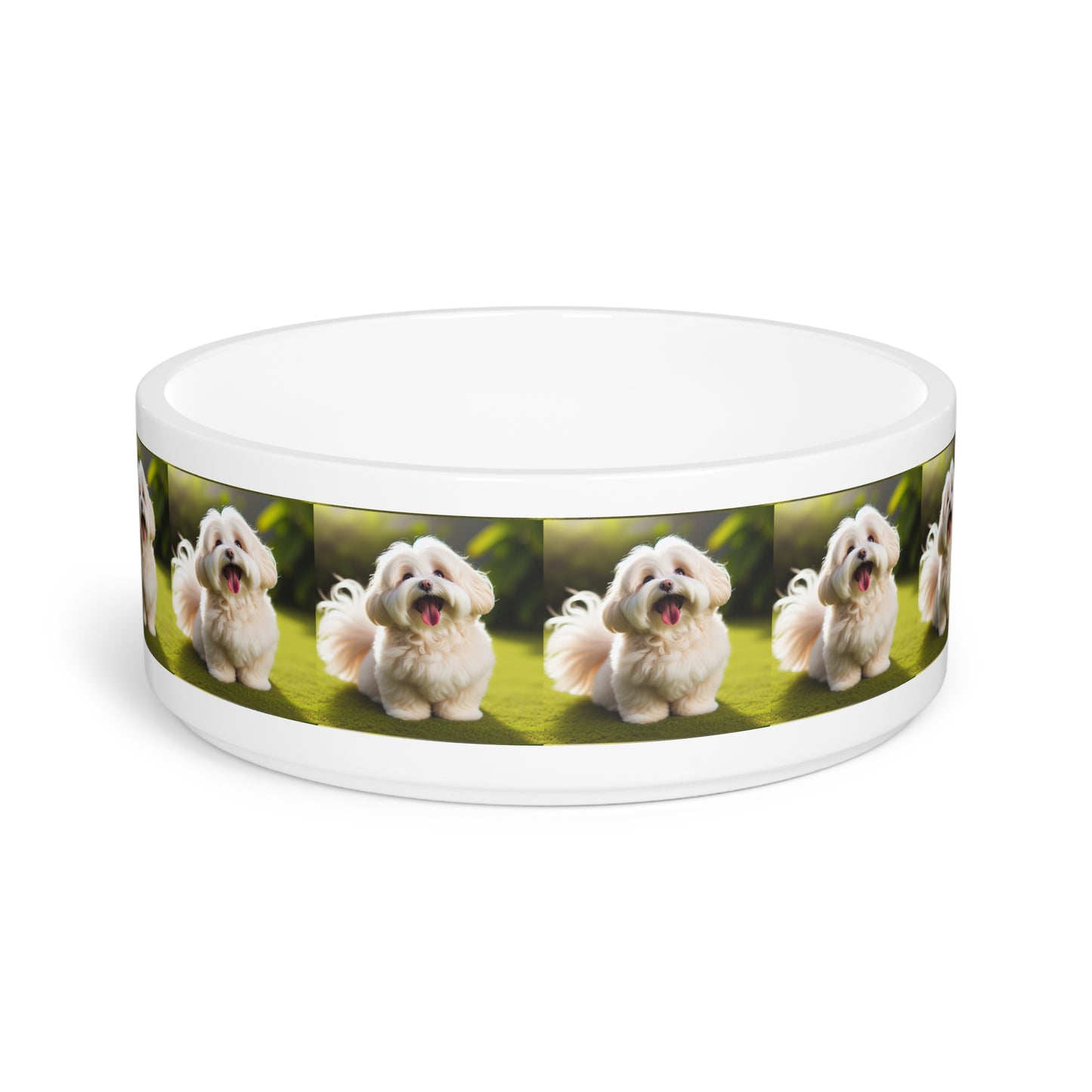 Tazón para mascotas Havanese