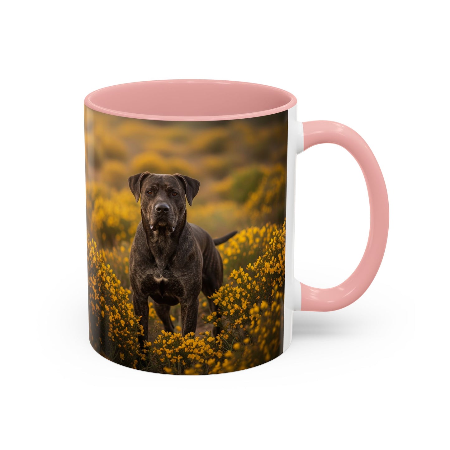 Mug Rafeiro do Alentejo Accent Coffee - Cadeau idéal pour les amoureux des chiens