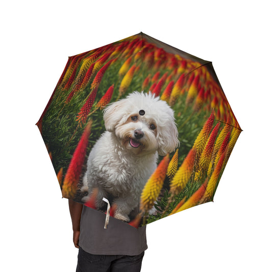 Bichonpoo Semi-Automatic Foldable Umbrella