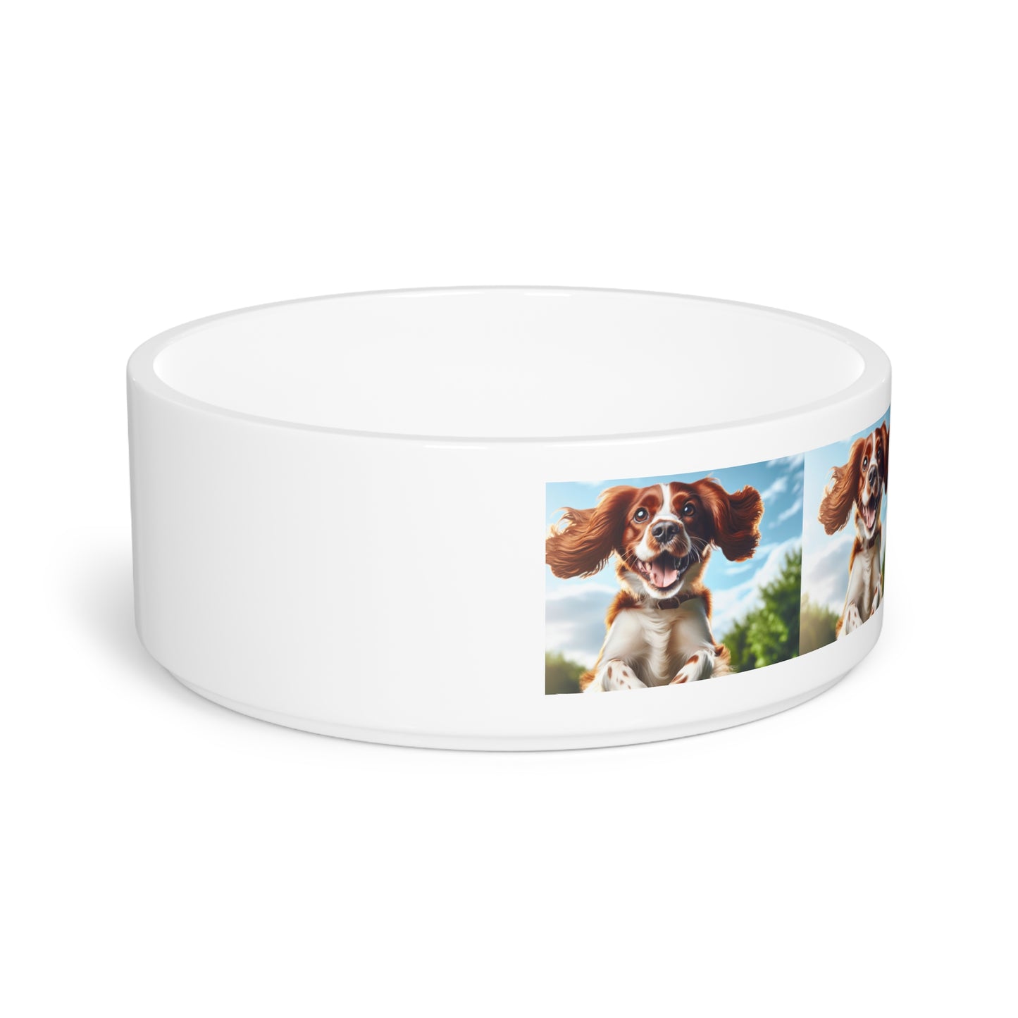 Welsh Springer Pet Bowl