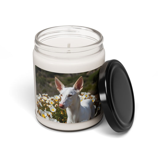 Ibizan Hound- Scented Soy Candle, 9oz