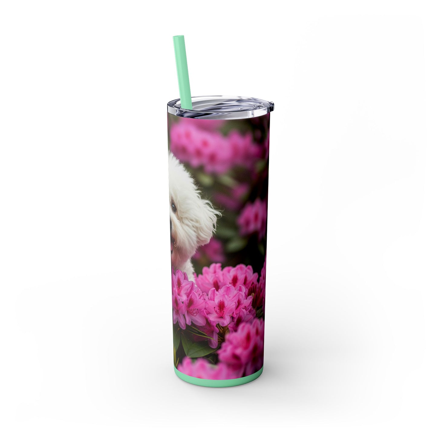 Bichon Frise Tumbler with Straw, 20oz