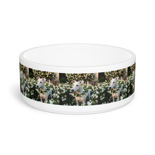 Gull Terrier Pet Bowl