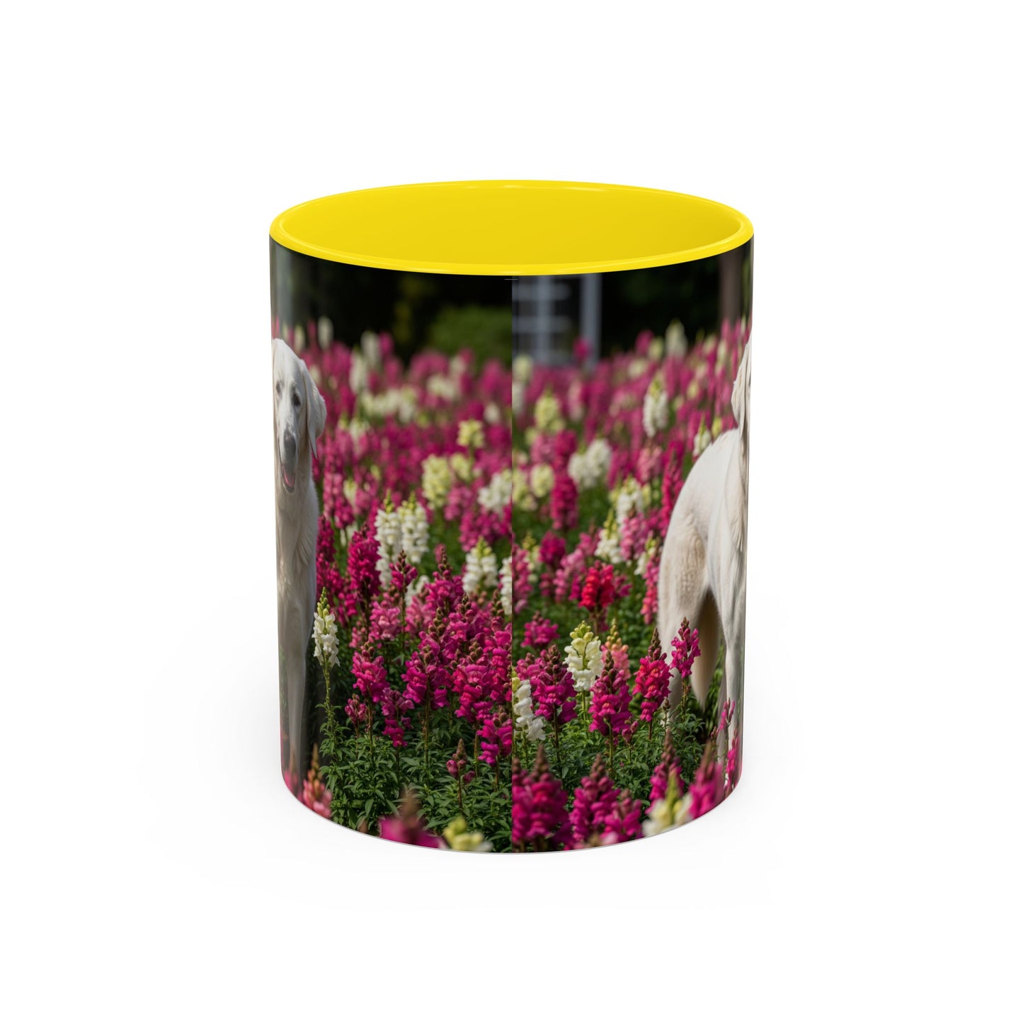 Estrela Mountain Dog Accent Coffee Mug - Perfect Gift for Dog Lovers