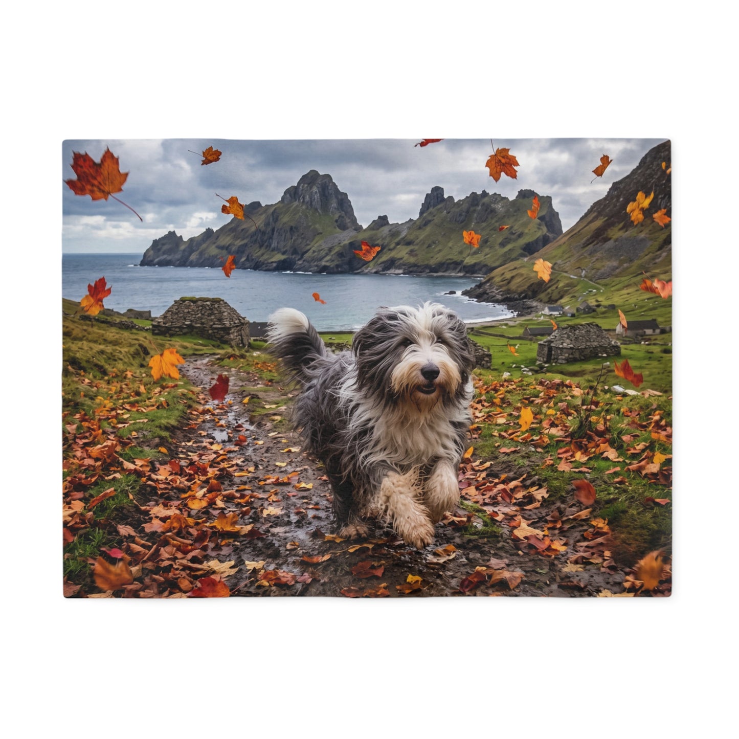 Bearded Collie Blanket