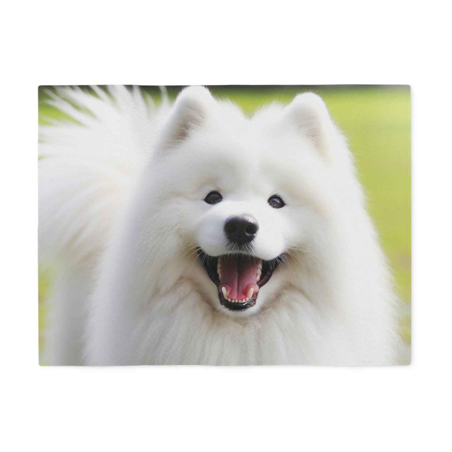 Samoyed Sweatshirt Blanket