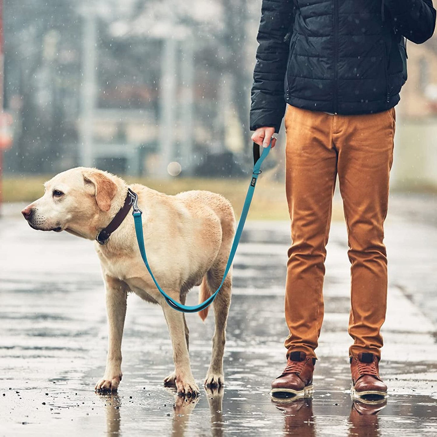 Laisse pour chien robuste de 1,5 m avec 2 poignées rembourrées confortables