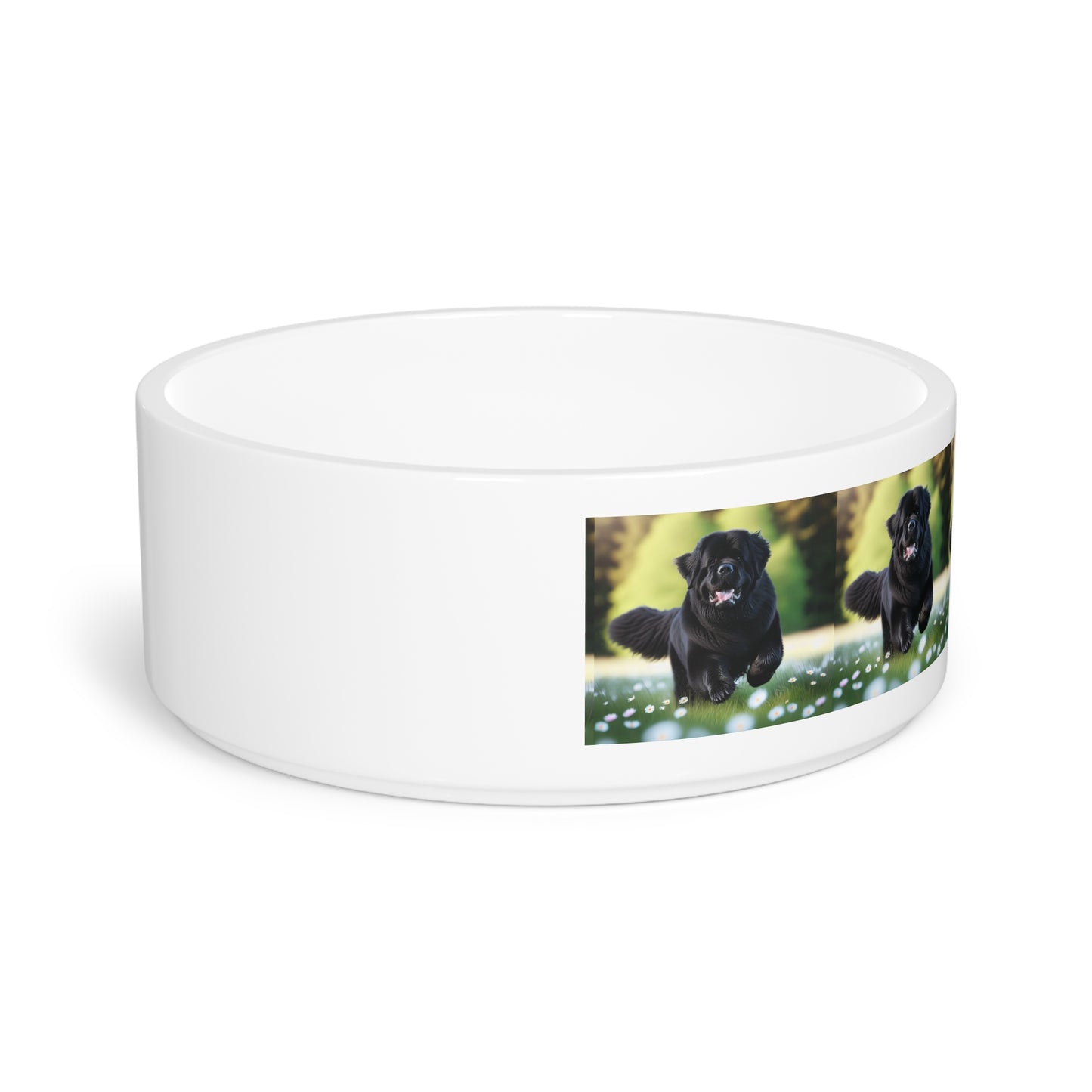 Newfoundland Pet Bowl