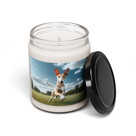 Ibizan Hound- Scented Soy Candle, 9oz