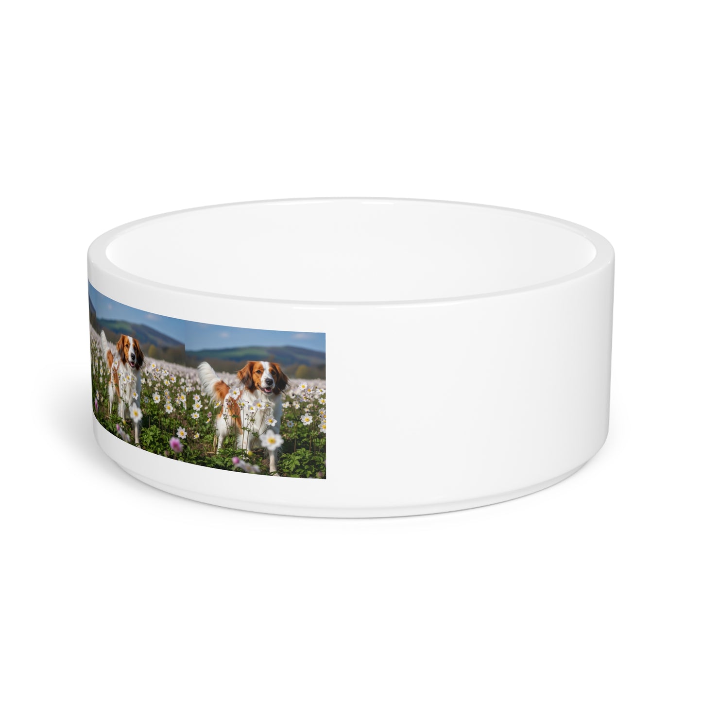 Nederlandse Kooikerhondje Gamelle pour animaux de compagnie
