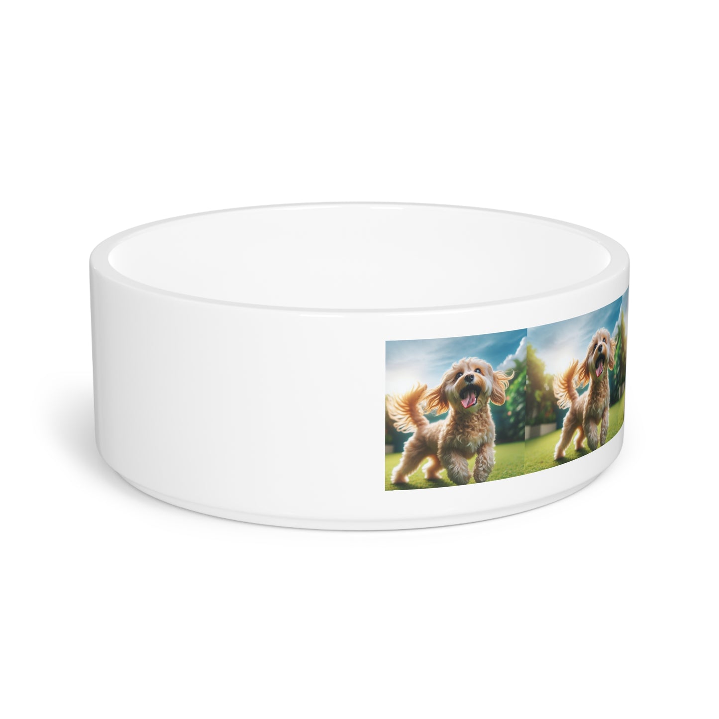 Cavoodle Dog Pet Bowl