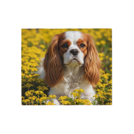 Cavalier King Charles Spaniel Sweatshirt Blanket